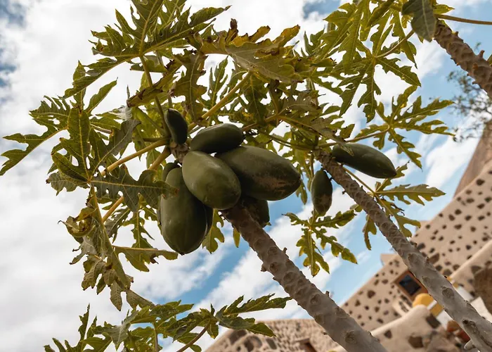 호텔 Rural El Cabo Villaverde (Fuerteventura)